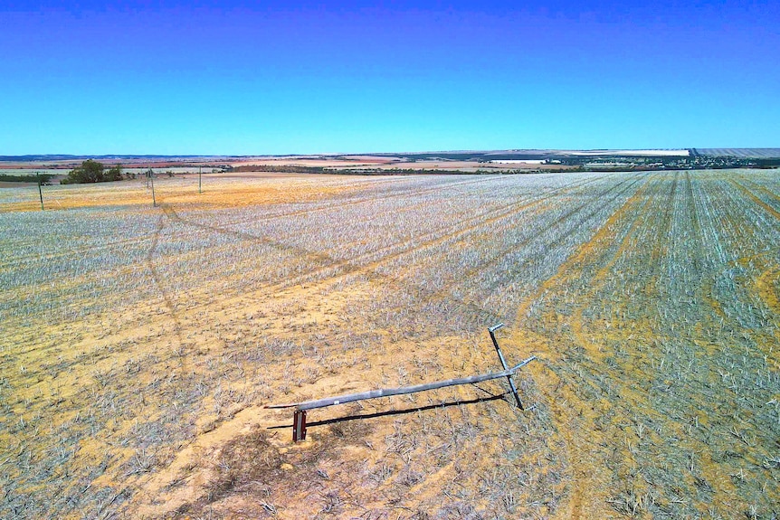 A power pole and line lying in a paddock stretching out towards a clear blue horizon.