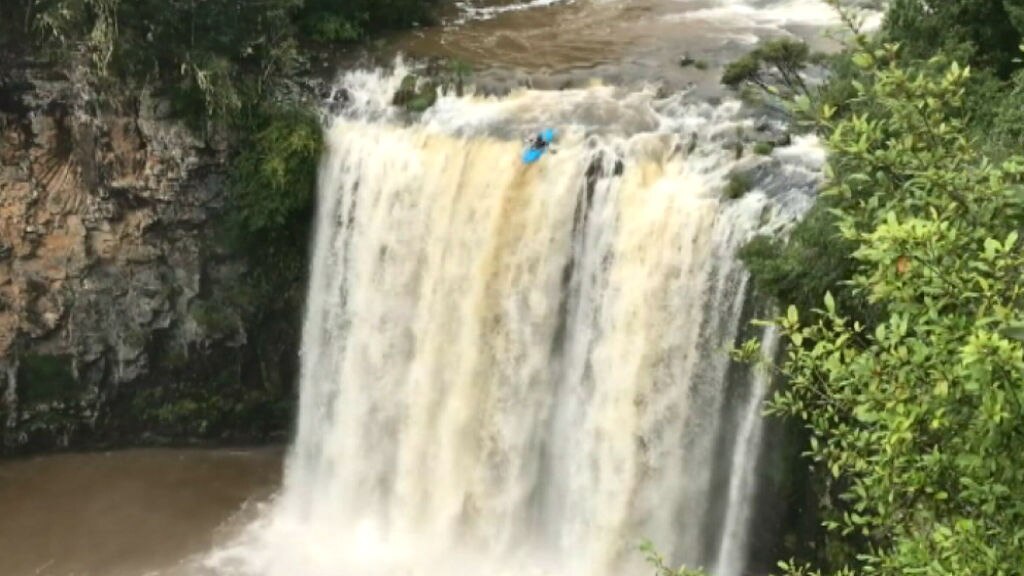 are dogs allowed at dangar falls