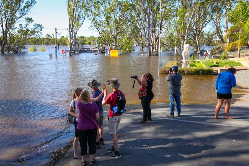 A group of people taking photos of floodwater at the ferry in Swan Reach.