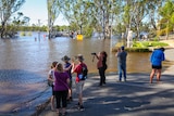 A group of people taking photos of floodwater at the ferry in Swan Reach.