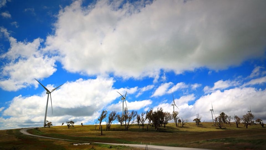 Taralga wind farm