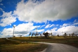 Taralga wind farm