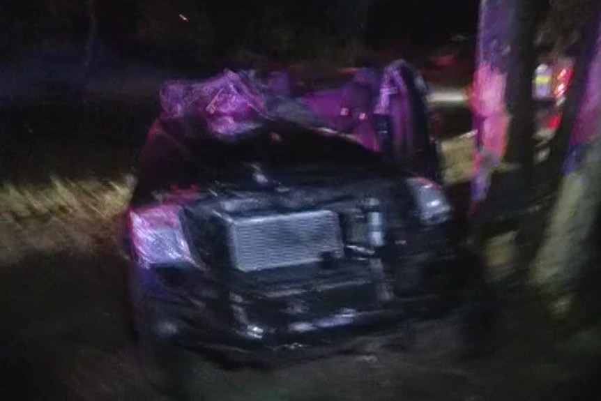 A crashed ute near a tree 