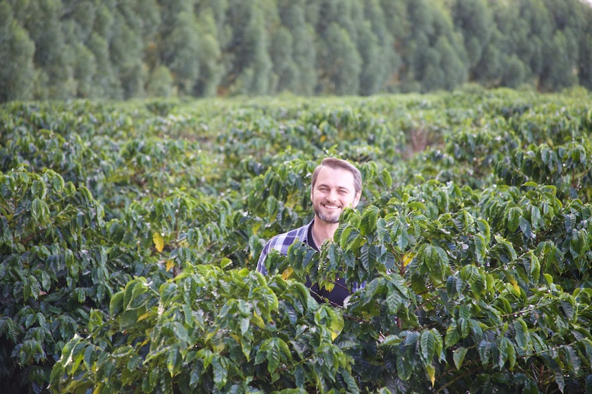 Fabiano Borré from Frazenda Progresso stands among coffee plants.