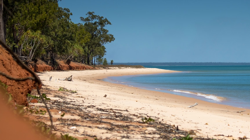 A sandy beach on Melville Island, part of the Tiwi Islands.