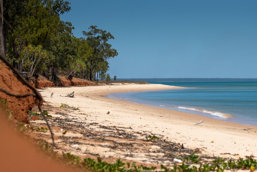 A sandy beach on Melville Island, part of the Tiwi Islands.