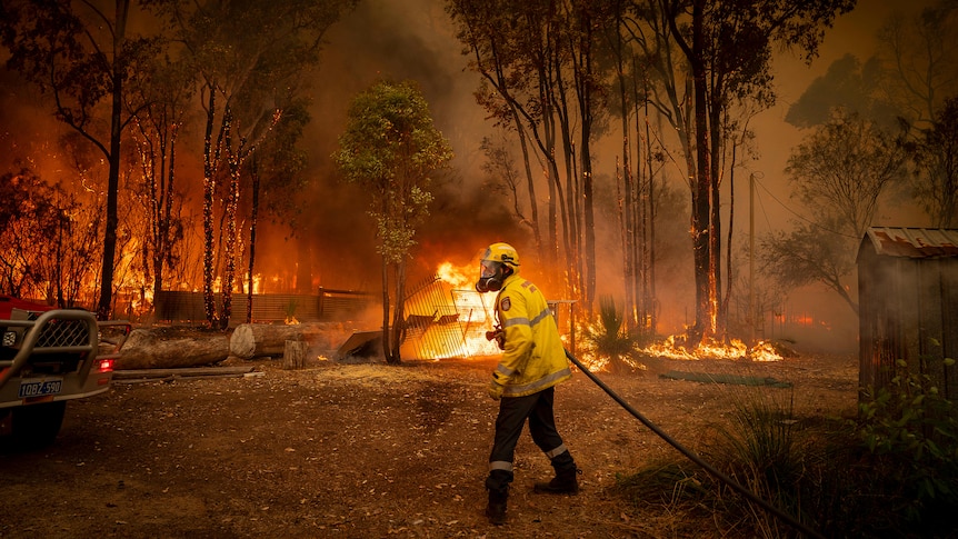 A firefighter walks carrying a fire hose as a bushfire burns in the background.