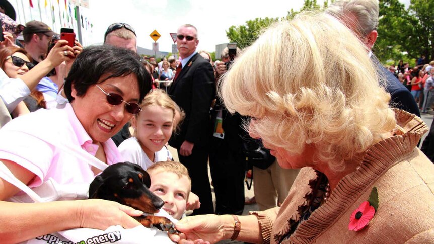 Camilla, Duchess of Cornwall shakes paws with a dog
