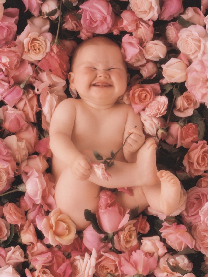 A photograph by Anne Geddes of a naked baby lying on a bed of roses