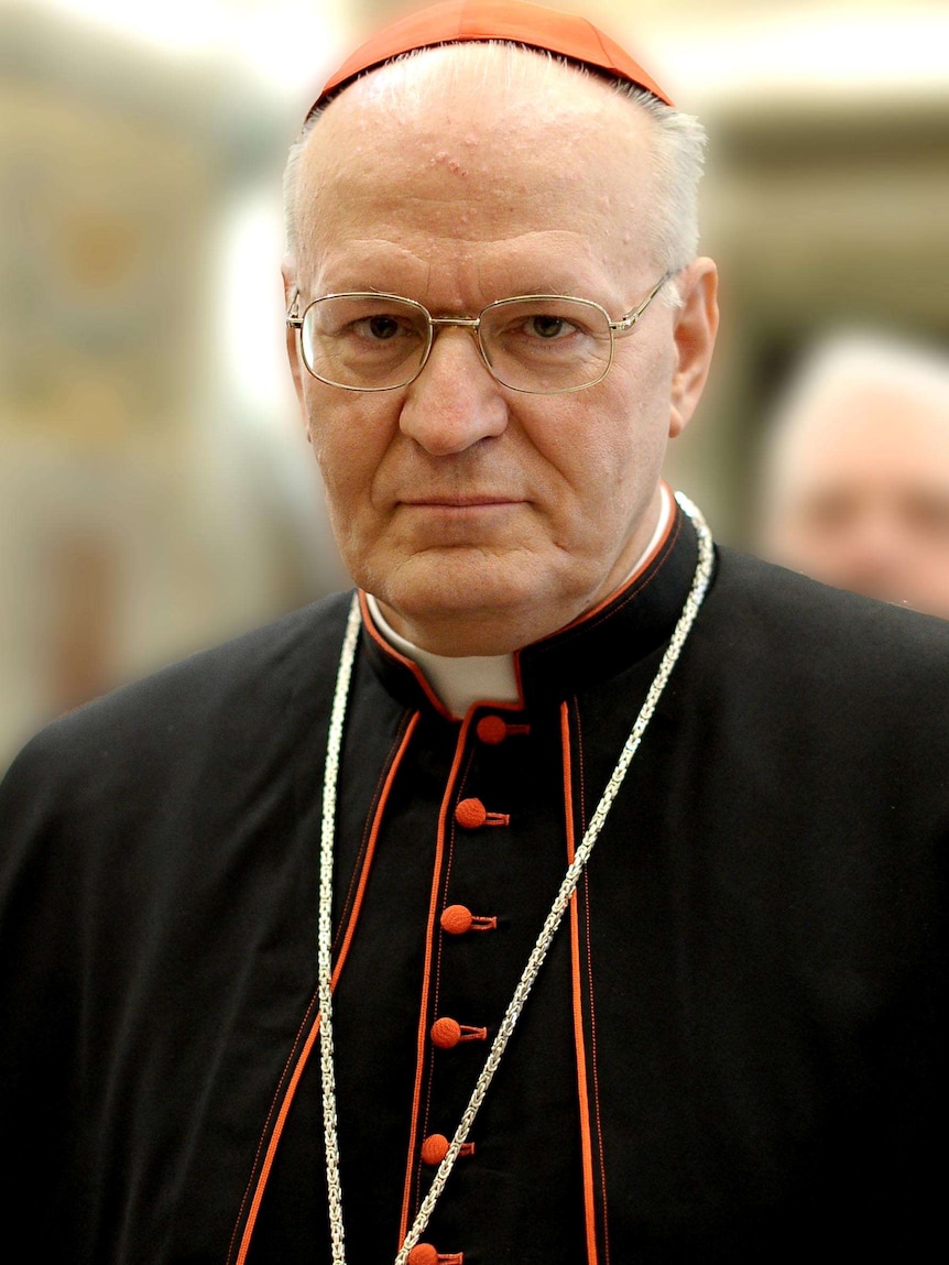 Cardinal Peter Erdo.