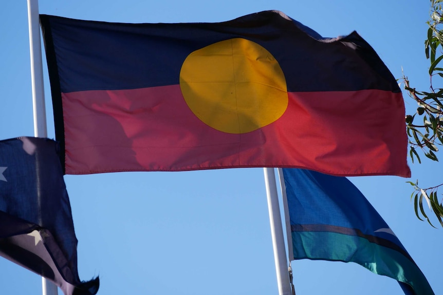 The Indigenous flag flying on a flag pole with the blue sky behind it.