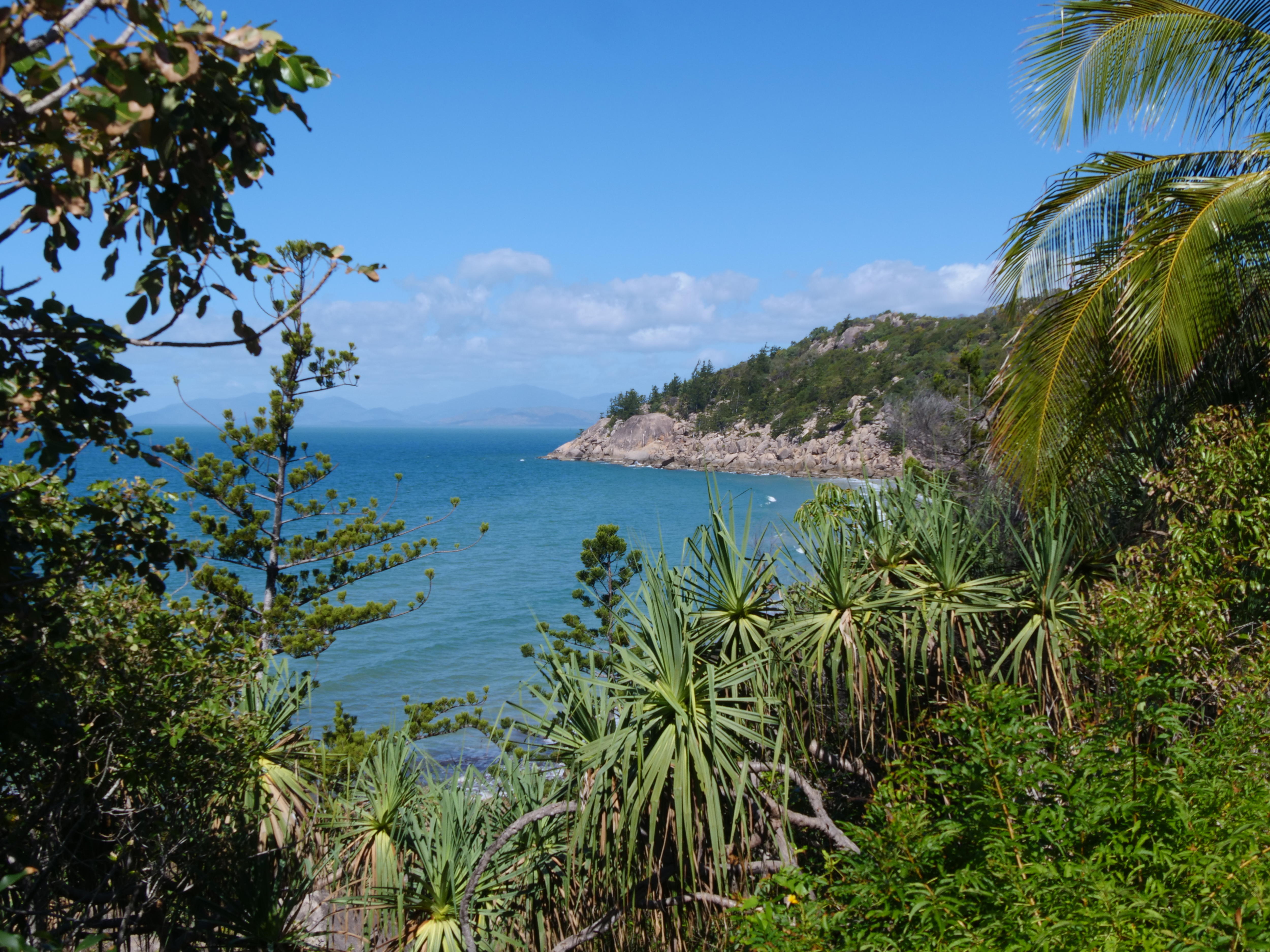 A tropical beach through the trees
