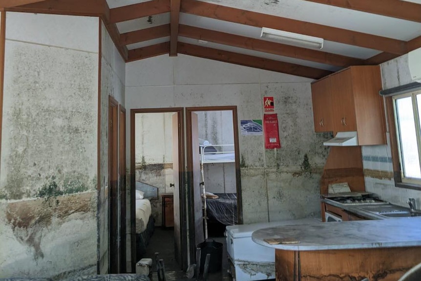 A ceiling and walls of a flood-damaged caravan are covered in mould.