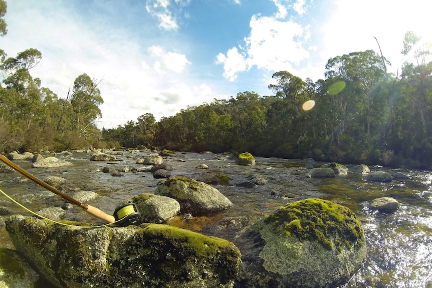 Thredbo River