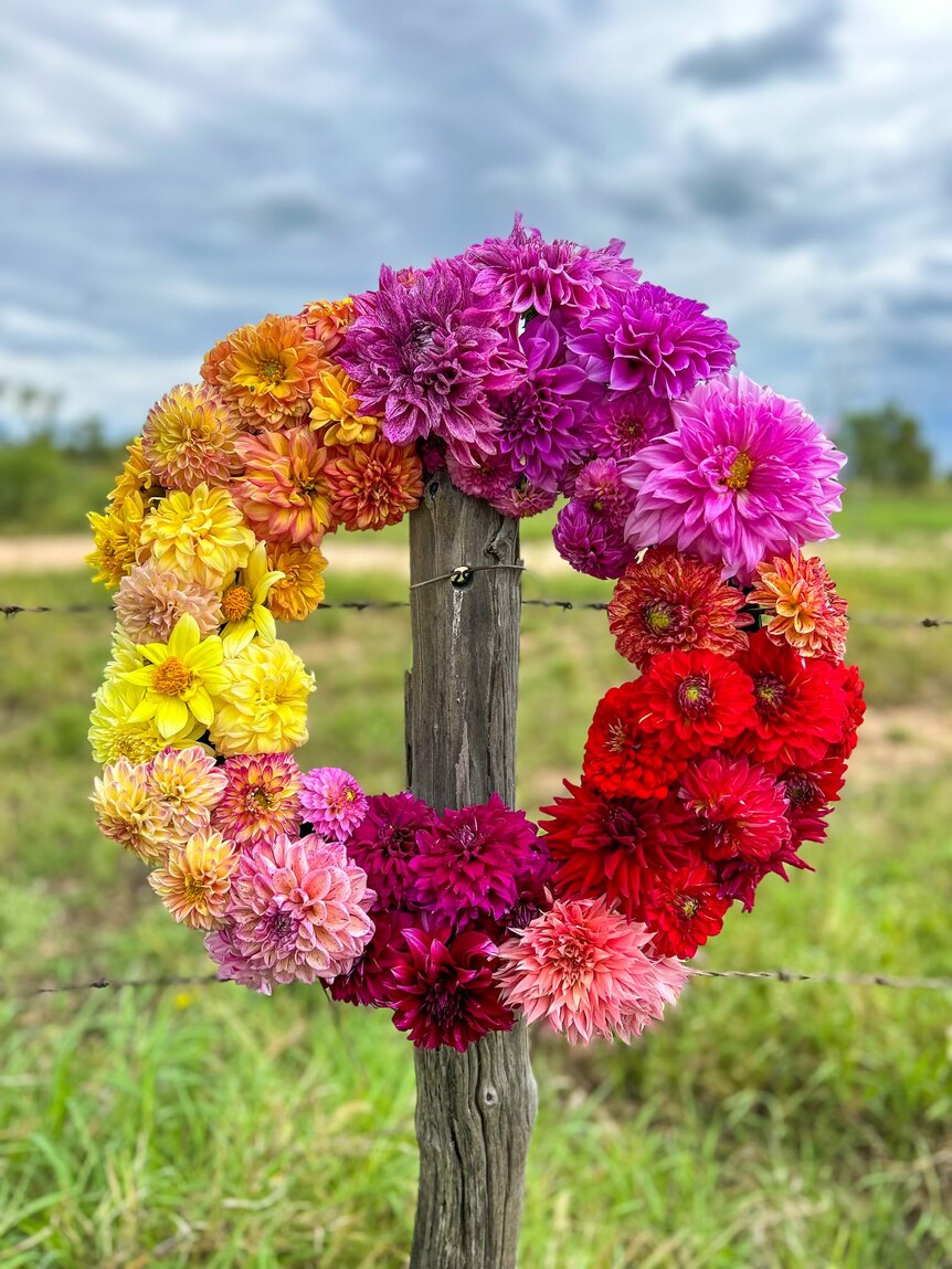 A colourful wreath of flowers the circle goes from yellow to pink and then to red. It's been hung on a wooden fence post