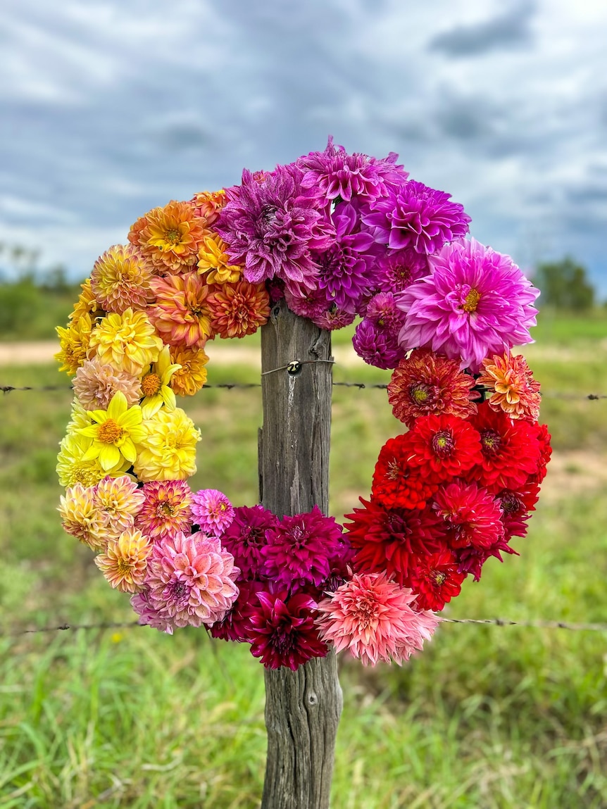 A colourful wreath of flowers the circle goes from yellow to pink and then to red. It's been hung on a wooden fence post