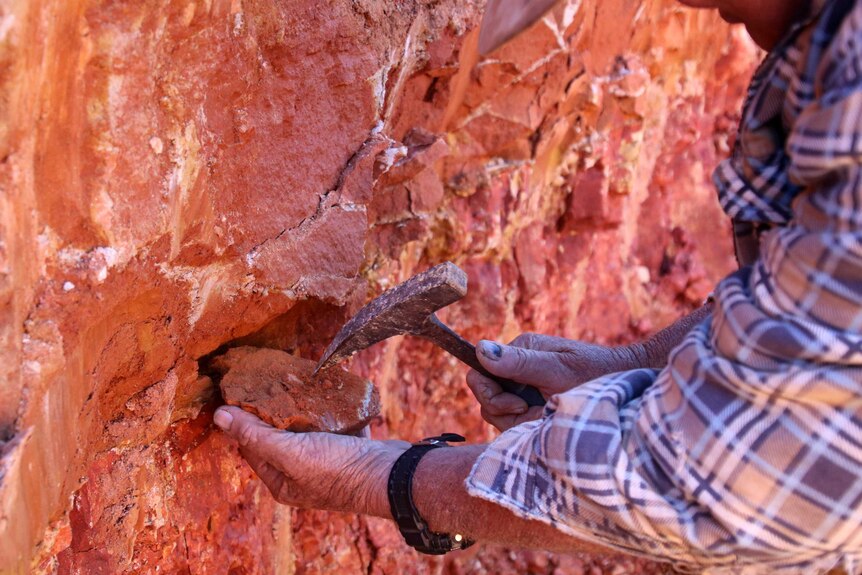 A miner is breaking a stone chip off a red rock wall using a pick, into his hand.