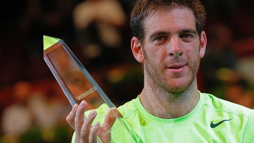 Austrian Open champ ... Juan Martin Del Potro beat Grega Zemlja in straight sets.