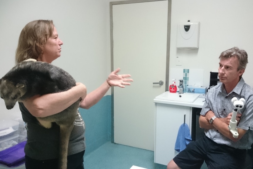 Male vet talking with woman who is holding tree kangaroo