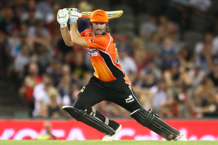 Shaun Marsh bats for the Perth Scorchers