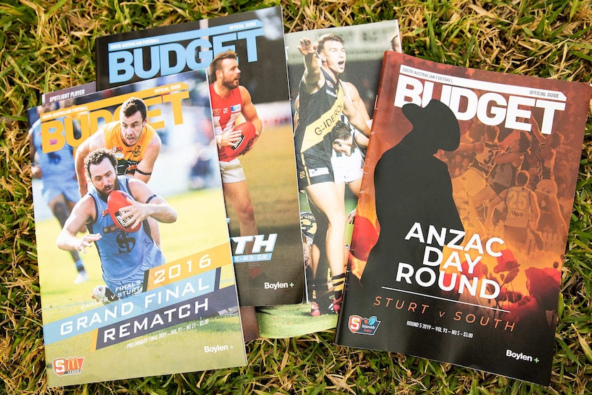 A collection of magazines entitled The Budget sits on grass.