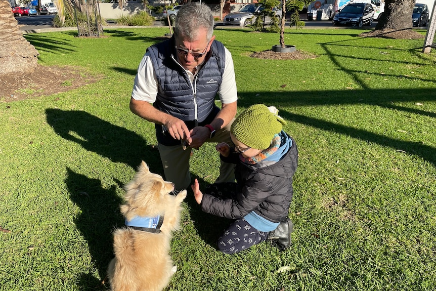 A child high five's a dog as they sit in a park on a sunny day while a man looks on.