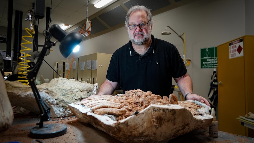 A scientist standing in front of a rock with bones carefully carved around.