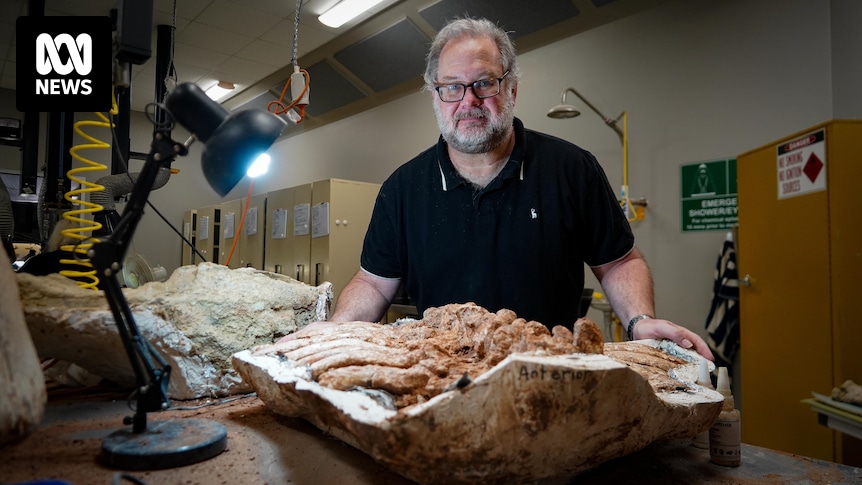 Naukowcy mierzą piaski czasu, aby określić wiek skamieniałości diprotodona Shirley