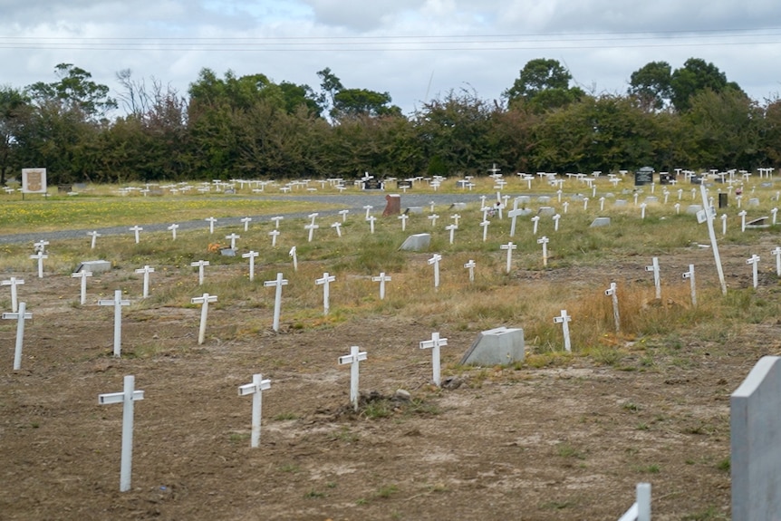 a landscape photo showing a field of white crosses with the occasional headstone