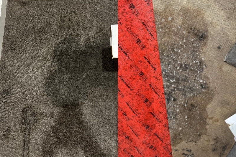 A composite image of a wet patch of carpet on the left side, and the same carpet becoming mouldy on the right.
