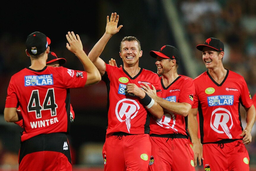 Peter Siddle celebrates a wicket for the Melbourne Renegades