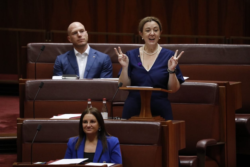 Tammy Tyrell delivers her first speech in the Senate surrounded by David Pocock and Jacqui Lambie
