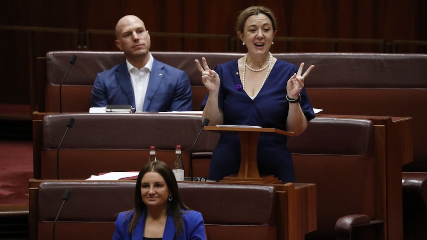 Tammy Tyrrell delivers her first speech in the Senate surrounded by David Pocock and Jacqui Lambie