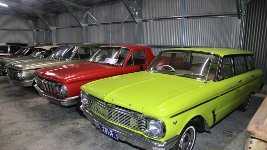 As shed full of old 1960's style Ford Falcons
