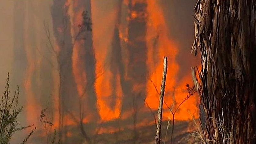 Bushfires burn in the Gippsland region southeast of Melbourne