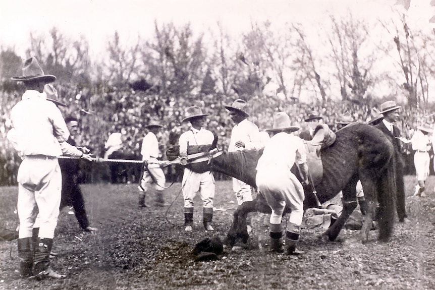 A black and white picture of men with a rope around a horses neck at a rodeo. 