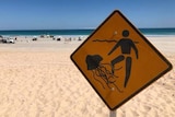 A yellow sign warning swimmers about jellyfish stands on a beach with people and cars in the background.