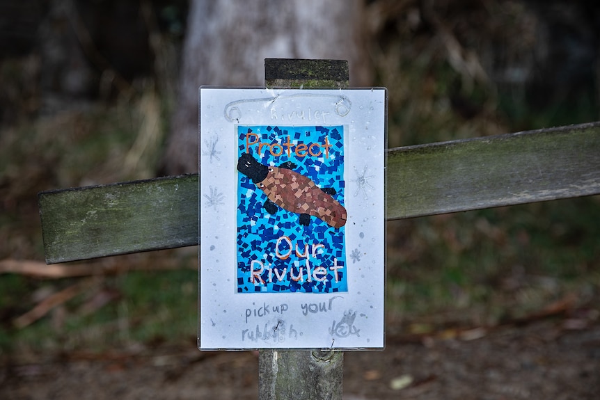 A DIY poster decorated with coloured paper and handwriting hangs from a wooden post in park.