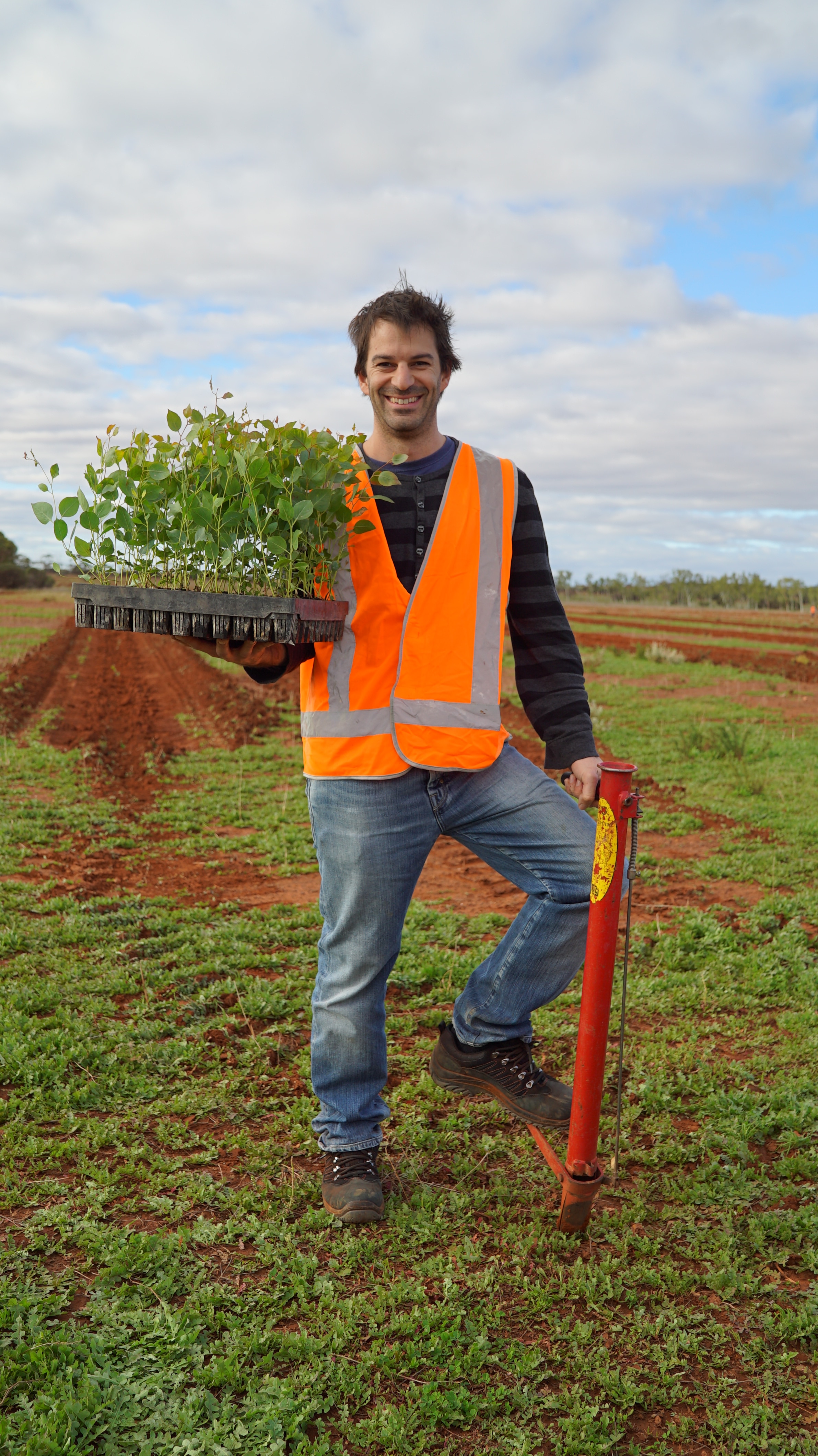 A man in an orange hi-vis vest stands in a paddock holding young trees for planting.