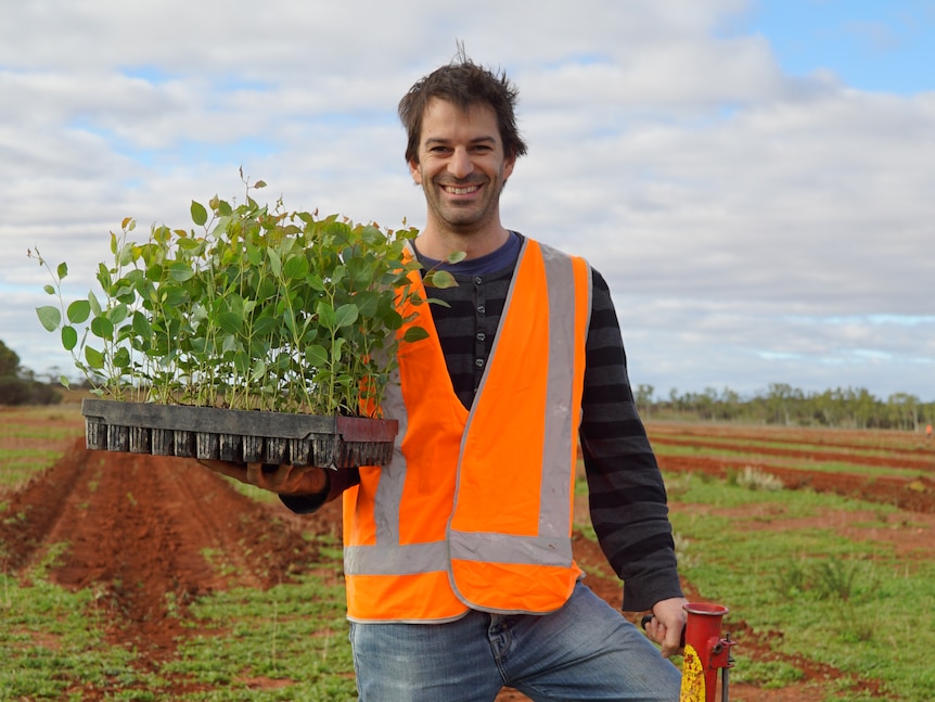 A man in an orange hi-vis vest stands in a paddock holding young trees for planting.