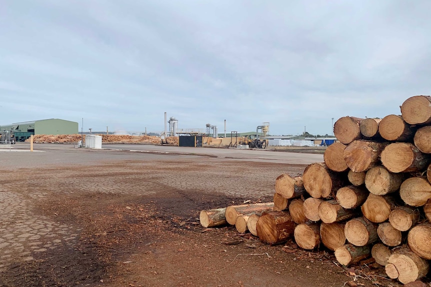 A pile of logs in the foreground of a timber mill