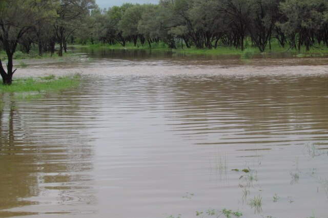Large body of water at Mt Denison cattle station