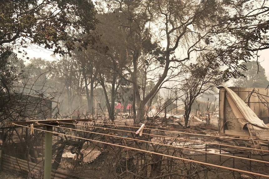 Blackened trees and twisted metal lie in what was once a property, with brown smoke in the background.