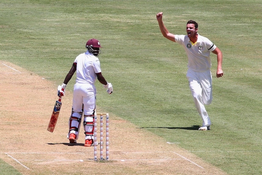 Josh Hazlewood celebrates Blackwood dismissal