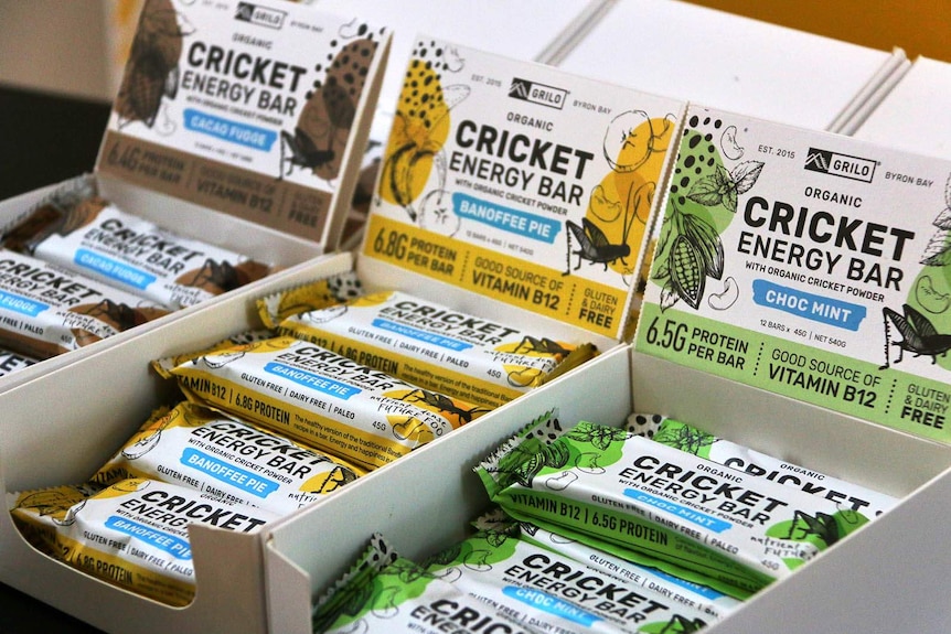 Rows of cricket protein bars presented in boxes