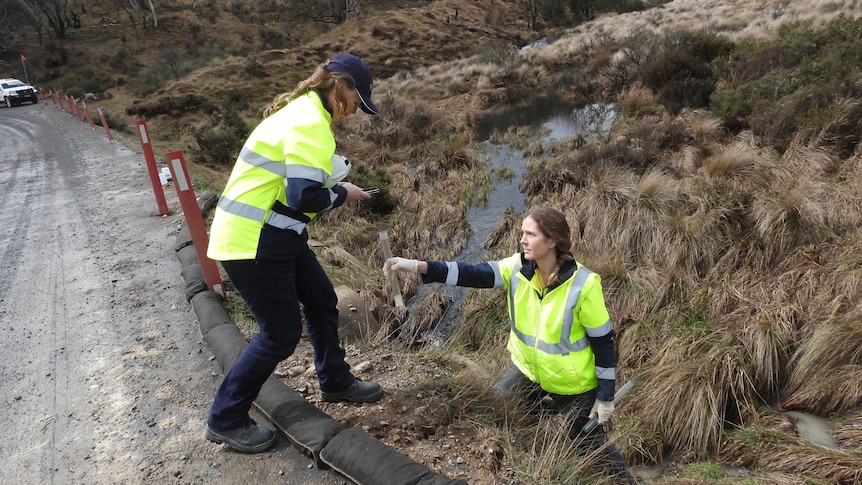 Workers in high-vis test the water quality of a creek in a national park.