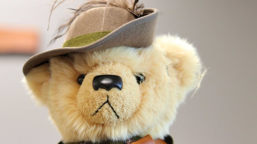 Teddy bears, kitted out in military uniforms are proving successful in sparking young student's interest in history.