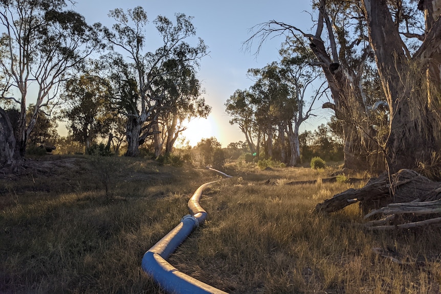 pipeline running along ground