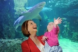 Prime Minister Julia Gillard holds 2-year-old Cate Smith as a shark passes above her at the Sydney Aquarium.