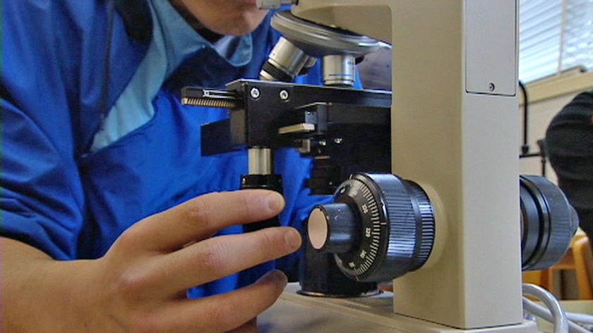 A student looks through a microscope